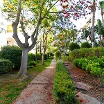 Apartment Banus - Banus Dama De Noche *