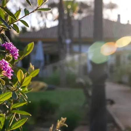 Banus - Banus Dama De Noche *